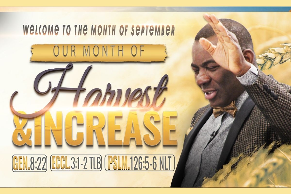 You are currently viewing Harvest and Increase