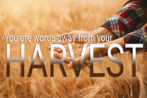 Read more about the article Word Power: Speak the Word ONLY