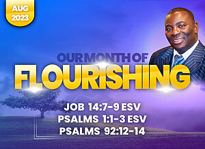 Read more about the article Our Month of FLOURISHING